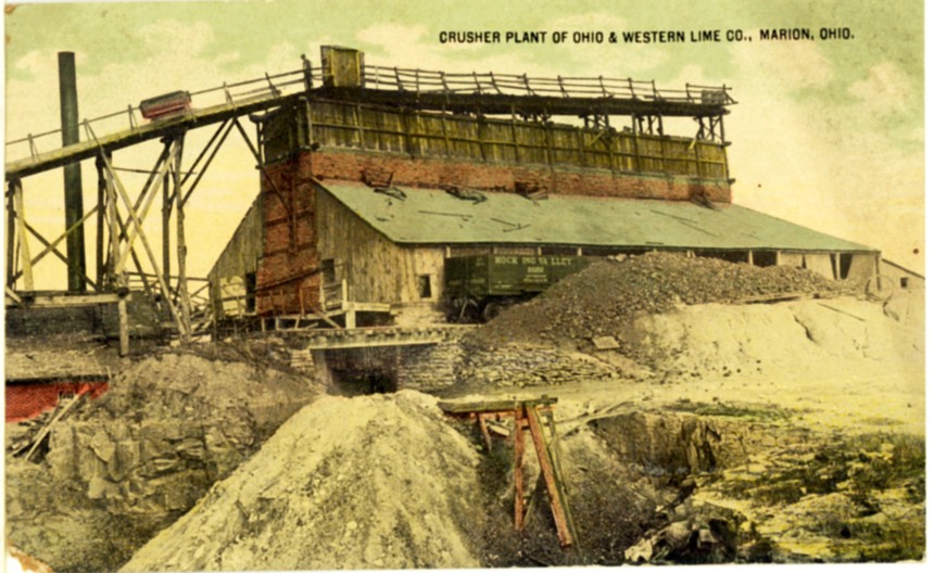 PIC_374-Western Lime