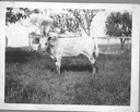 PIC_Myers_157